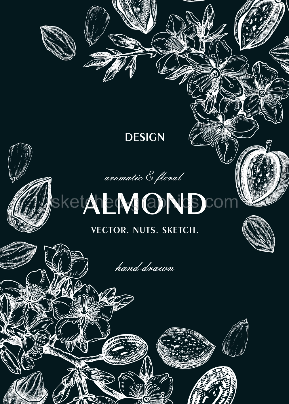 Almond nut frame, spring design on chalkboard. Blooming branches, nuts, flower sketches. Hand-drawn vector illustration. Greeting card or invitation template .  NOT AI generated Illustration